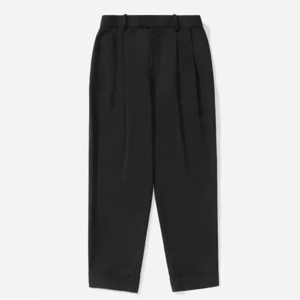 Everlane Put-Together Pleat Pant